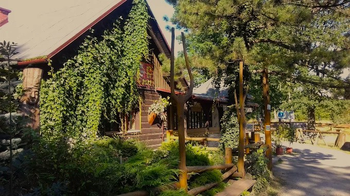 Stefanka na Koziej Górze wśród zieleni – schroniska Beskid Śląski
